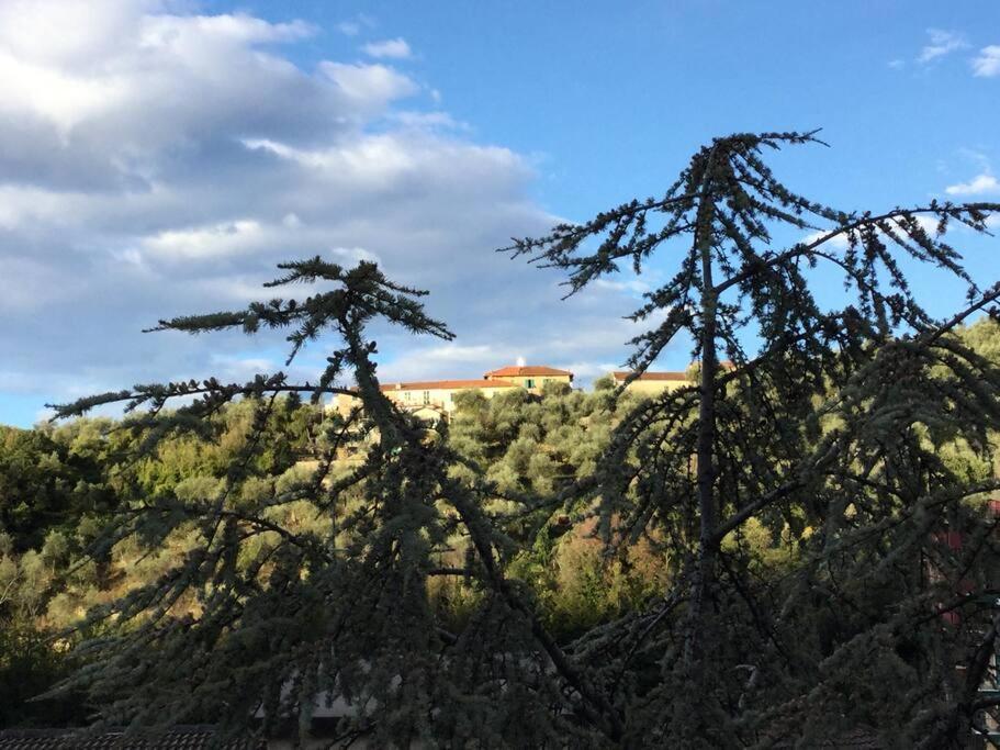 Solare Residenza Vista Mare Lejlighed Rapallo Eksteriør billede